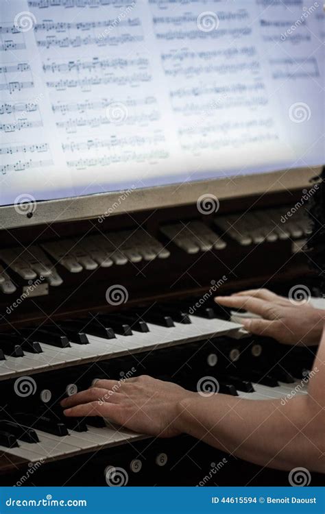 Hands Of Someone Playing Organ Stock Photo Image Of Holy Cathedral