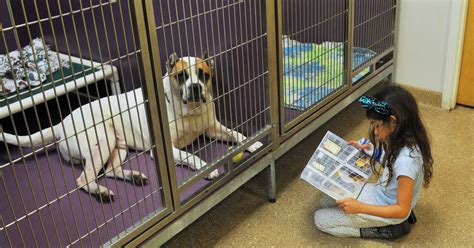 Trips to animal shelters help kids learn compassion