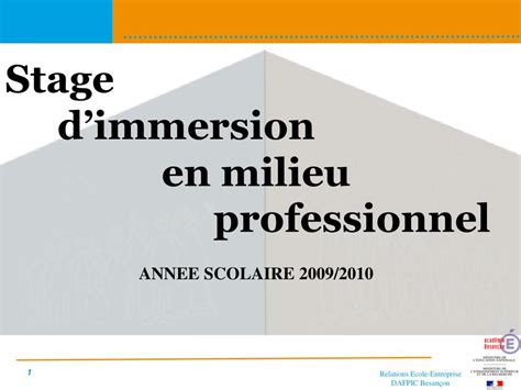 Ppt Stage Dimmersion En Milieu Professionnel Powerpoint Presentation