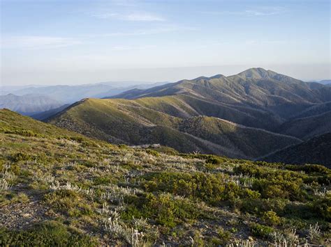 Nature And Wildlife High Country Victoria Australia