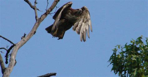 Fall World Migratory Bird Day Walk