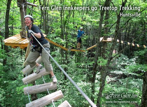 Fern Glen Inn - Seasons and Reasons: Treetop Trekking: What to Expect ...