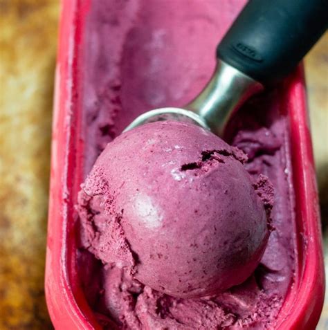 25 Summer Fruit Ice Cream Flavors The Redhead Baker