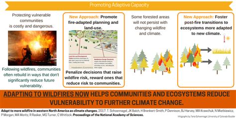 Wildfire Experts Paper Informs Effective Policy Headwaters Economics