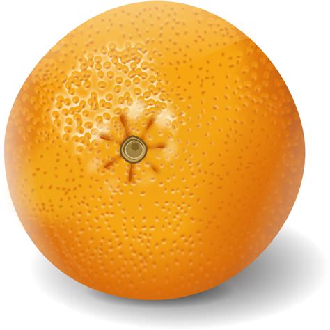 Public Domain Clip Art Image | orange apelsinas | ID: 13945911012253 | PublicDomainFiles.com