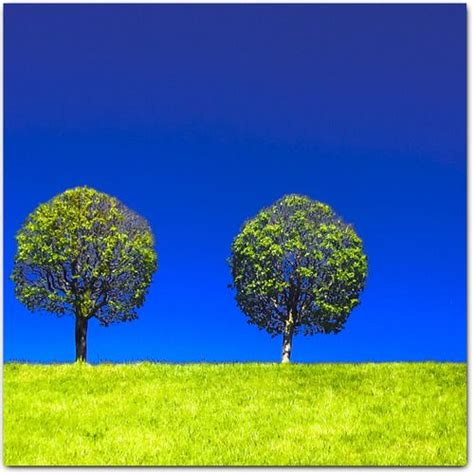 Pin By Karolina Marzec On Magic Of Trees Blue Green Nature Tree
