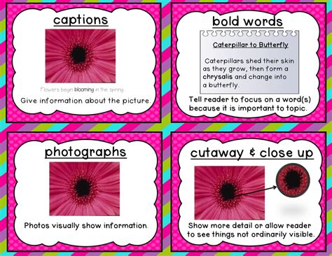Teaching Blog Round Up Nonfiction Text Features