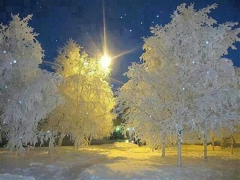 Beautiful Cold Night Winter And Snow Pinterest