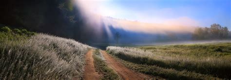 741450 Horses Rays Of Light Grass Fog Rare Gallery Hd Wallpapers