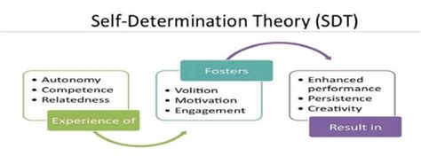 Self Determination Theory Sdt Ryan And Deci 2000 Download