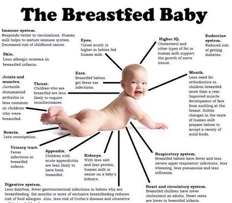 Eng 121 Awareness Of Breastfeeding