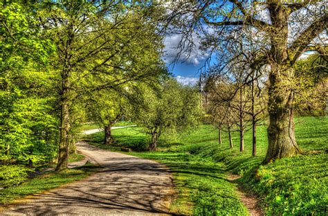 Park
