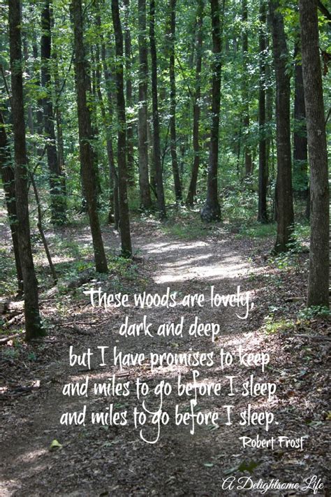 Quotes About The Woods Quotesgram