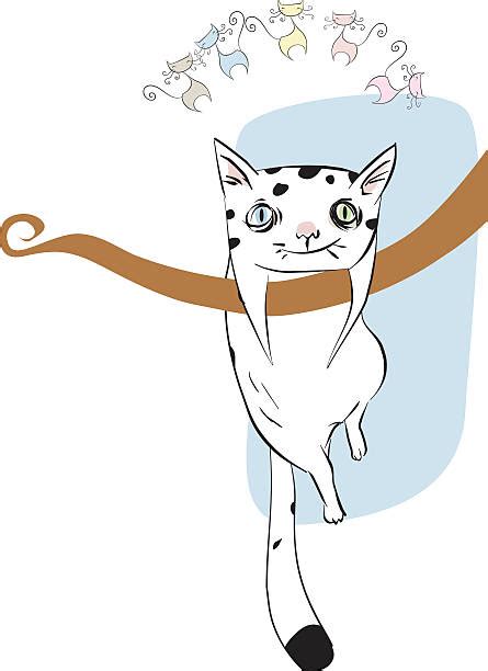Best Cat Climbing Illustrations Royalty Free Vector Graphics And Clip