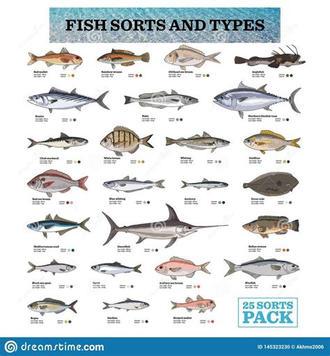 25 Species Of Fish With Its Names Fish Sticker Fish Sea Colour