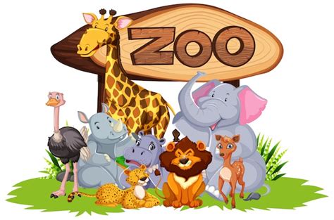 Zoo Vectors And Illustrations For Free Download Freepik