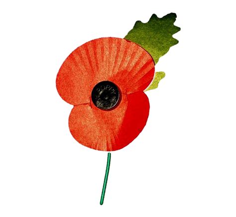 Remembrance Day Poppy PNG Pic PNG Arts