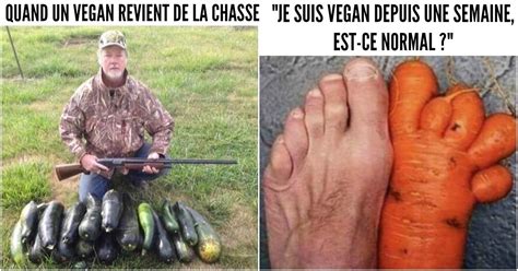 Top 15 Des Memes Les Plus Drôles Sur Les Vegans Humour Et Légumes