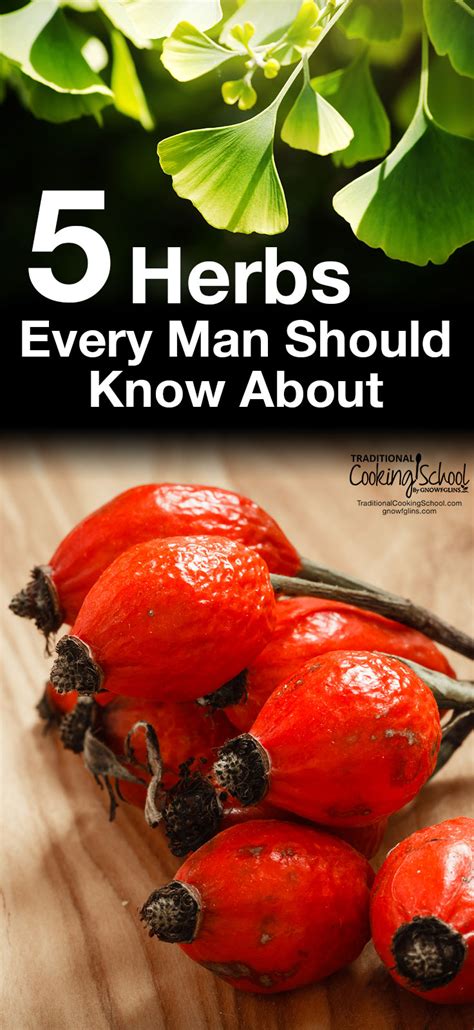 5 Herbs For Mens Health Traditional Cooking School