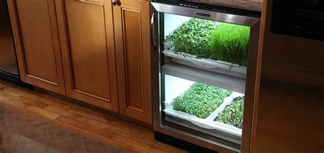 These indoor herb garden planters will look killer in your kitchen and keep your meals tasting fresh all year long. Herb fridge built in to kitchen island | Herb garden in ...