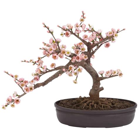 Cherry Blossom Bonsai Silk Tree Silk Flower Depot