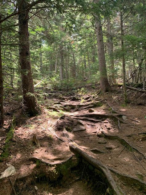 Belknap Mountain Trail New Hampshire Alltrails