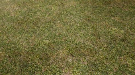 Résultat De Recherche Dimages Pour Grass Texture Grass Textures Natural Grass Stock