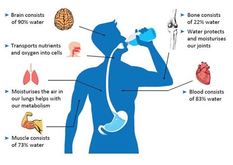 Over 80 Of The People Dont Drink Enough Water Are You One Of Them