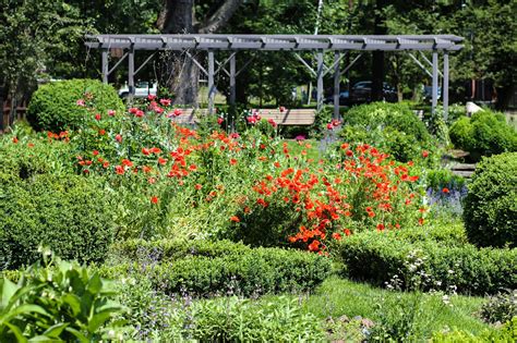 Anniversary Flowers For Him: Flower Shops In Plainfield