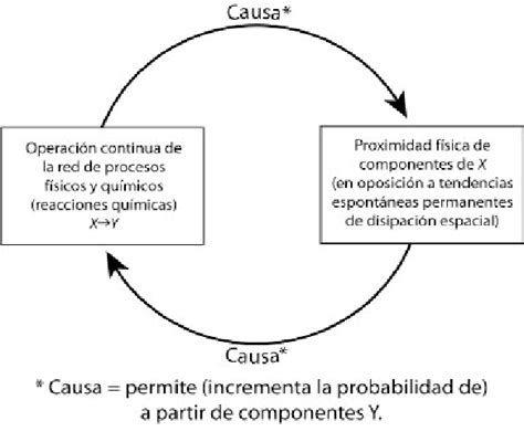 Este concepto nace en la biología con los chilenos humberto maturana y francisco varela (1973). Circularidad de la autopoiesis. | Download Scientific Diagram