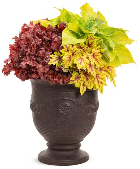 7 Mixed Container Ideas Using Proven Winners® Perennials Walters