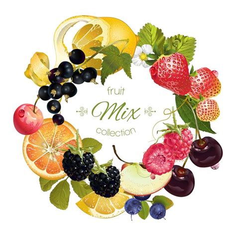 Premium Vector Vector Fruit And Berry Wreath