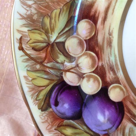 Aynsley Hand Painted Orchard Fruits Plate 1950s Etsy