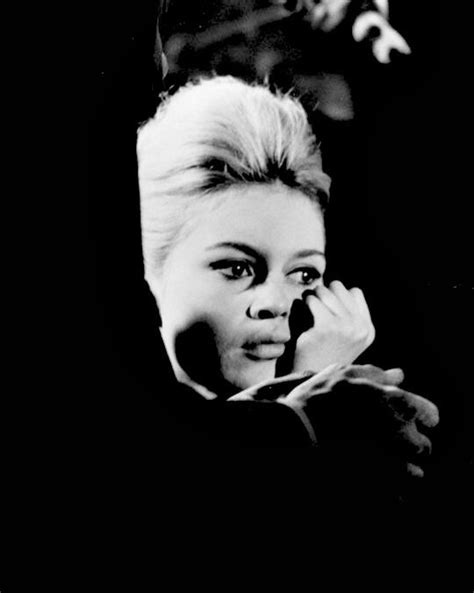 Brigitte Bardot By Peter Basch In 1960 Brigitte Bardot Brigitte Basch