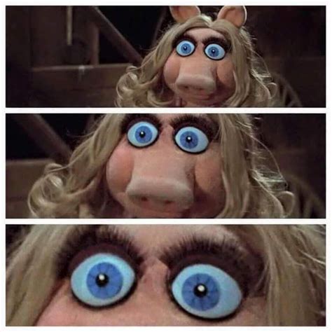 Miss Piggy Eyes Shock Confusion Zoom In Realization Miss Piggy
