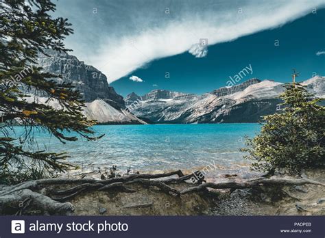 View Over Bow Lake Banff National Park Canada Stock Photo Alamy