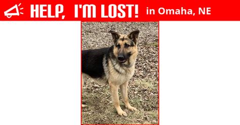 Subreddit dedicated to finding your lost animals. Lost Dog (Omaha, Nebraska) - Dallas