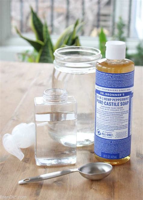 Easy All Natural Homemade Foaming Hand Soap Bren Did