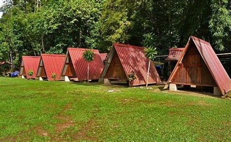 Janda baik is a village town in pahang, malaysia. Janda Baik Campsite and Resort Mak Lang Bentong Pahang