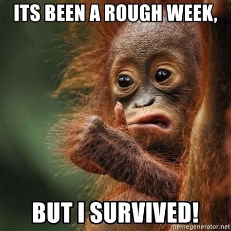 Its Been A Rough Week But I Survived Orangutan Survive Hard Quotes