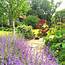 How To Create An Irresistibly Romantic Garden  The Middle Sized