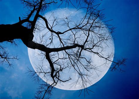 What A Blue Moon On Halloween Means For Your Zodiac Sign