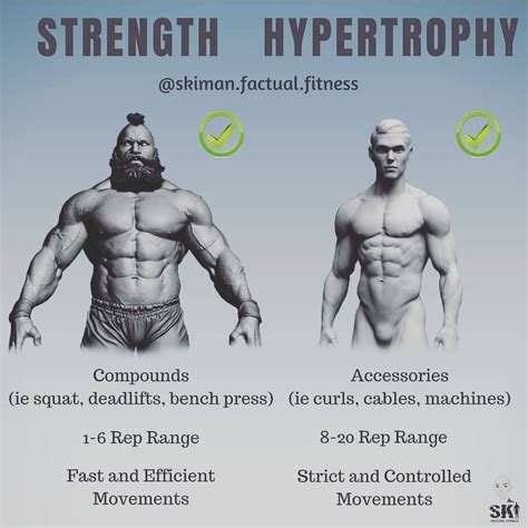 Strength Vs Hypertrophy Your Choice Workout Routine For Men