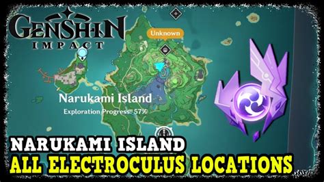 Genshin Impact All Electroculus Locations On Narukami Island Genshin