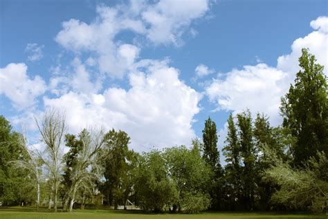 Free Images Landscape Tree Nature Forest Grass Cloud Sky Field