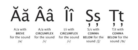 Romanian alphabet used before 1860s. De ce nu scriu cu diacritice pe bloguri