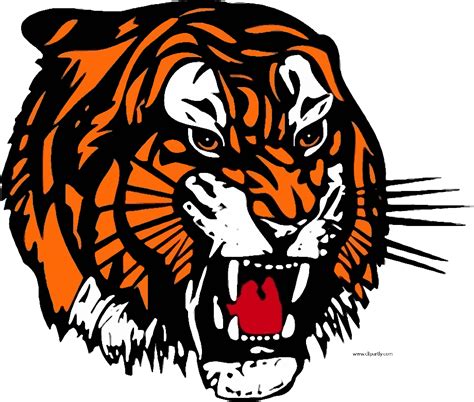 Download High Quality Tiger Clipart Angry Transparent Png Images Art