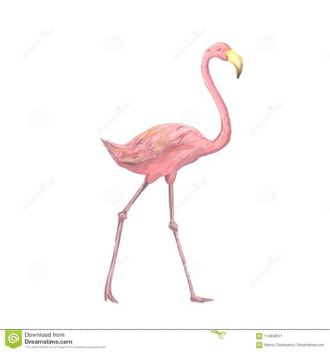 Pink Flamingo Character Digital Clip Art Cute Two Birds