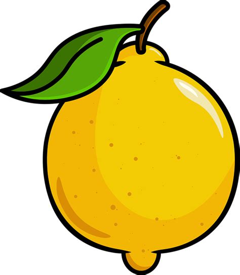 Over 100 Free Lemon Vectors Pixabay Pixabay
