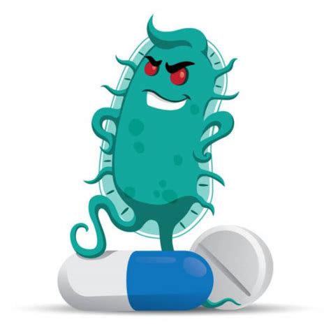 Are You Taking Too Many Antibiotics The Daily Scan